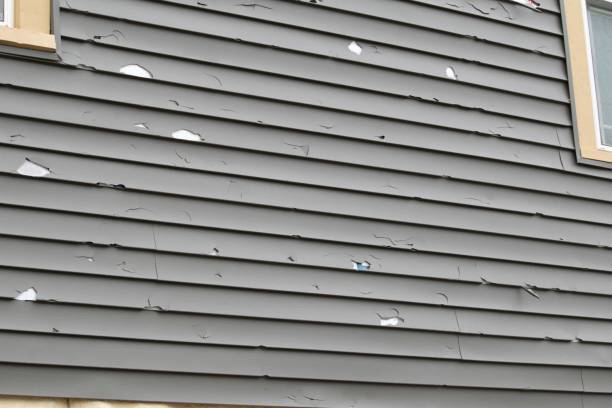 Affordable siding repair and maintenance services in Northlake, TX